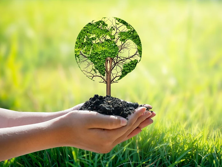 Hand holding a world-shaped tree symbolizing sustainable natural gas practices