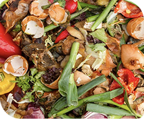 Food Waste & Organics